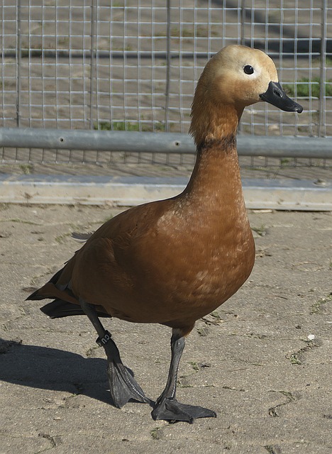 验和借鉴