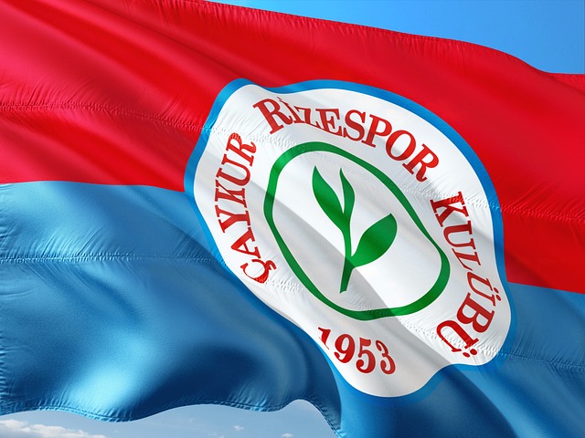 中书写属于 中书写属于