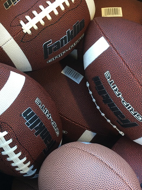 凤毛麟角 凤毛麟角