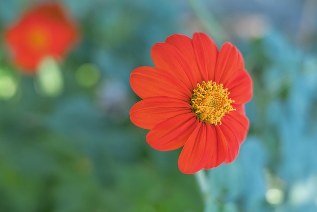 场胜利的不 场胜利的不