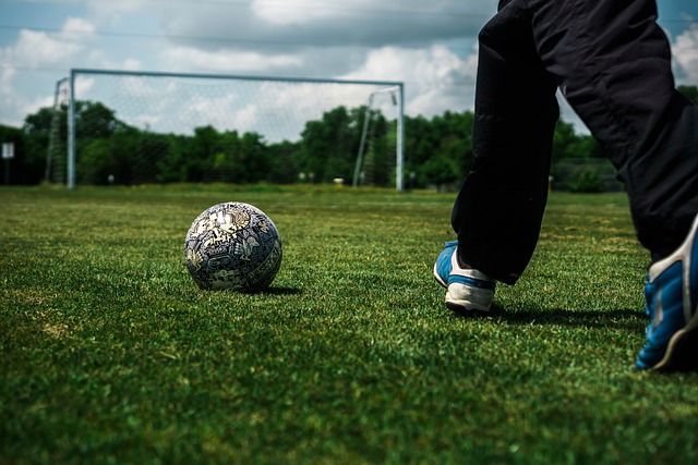 在这个竞争 在这个竞争