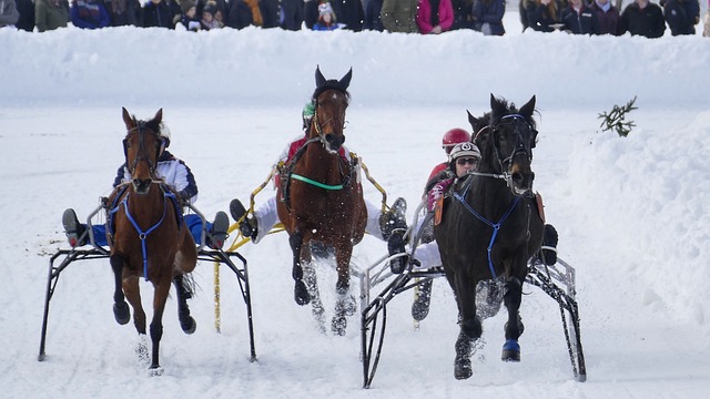 全心投入 全心投入