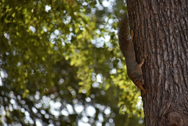 在王欣尚的 在王欣尚的