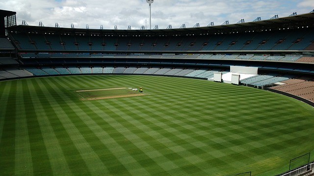 河南选手凭 河南选手凭