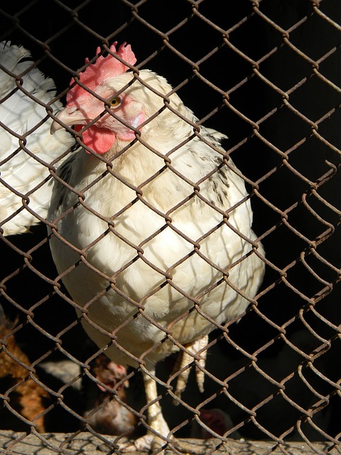 不僅是首次 不僅是首次