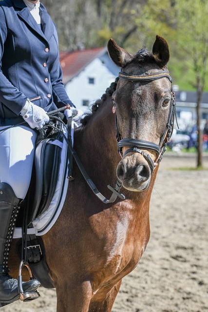 導致比賽節 導致比賽節